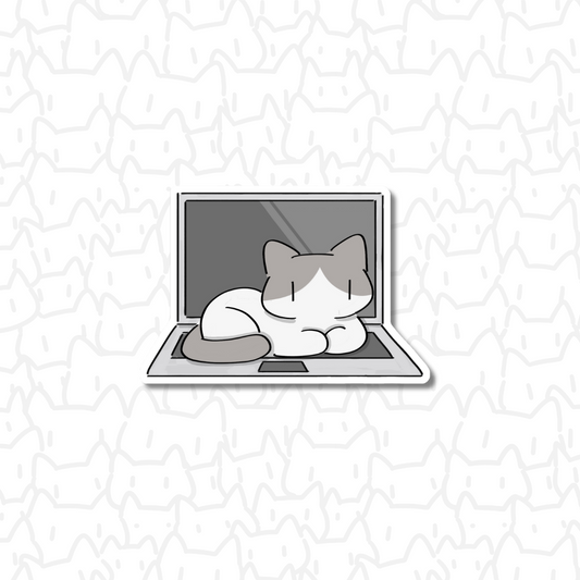 Cat on laptop Sticker