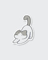 Cat stretching